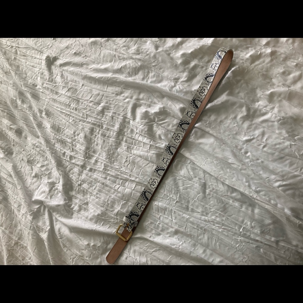 Snake skin Belt